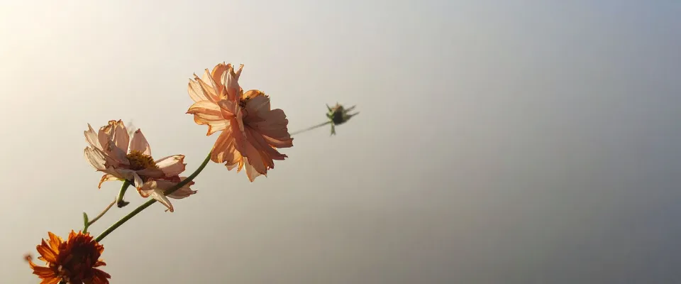 capital-cpam-comment-obtenir-facilement