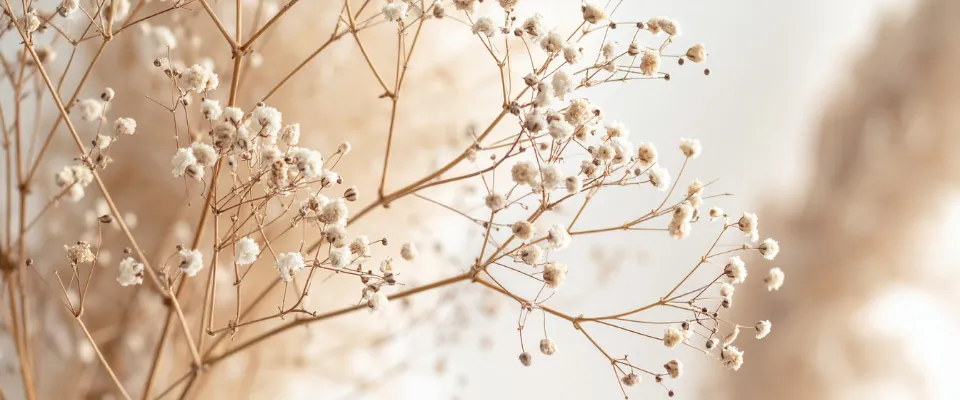 deces-de-mon-conjoint-7-etapes-a-traverser