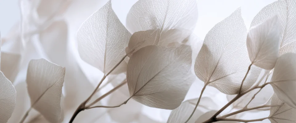 tranquillite.fr-Deces-dun-parent