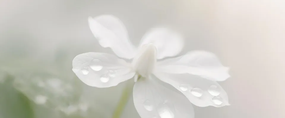 tranquillite.fr-Obtenir-un-acte-de-deces