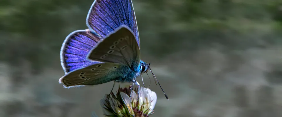 tranquillite.fr-Quelles-aides-pour-la-famille-dun-salarie-decede-