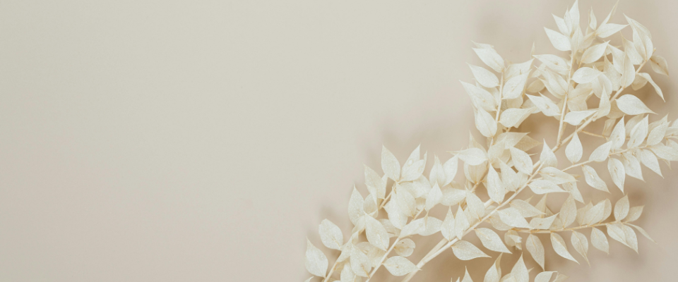 sorenir-assistance-administrative-deces