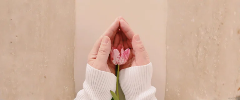 Protection famille fleur dans mains assurance vie héritage succession