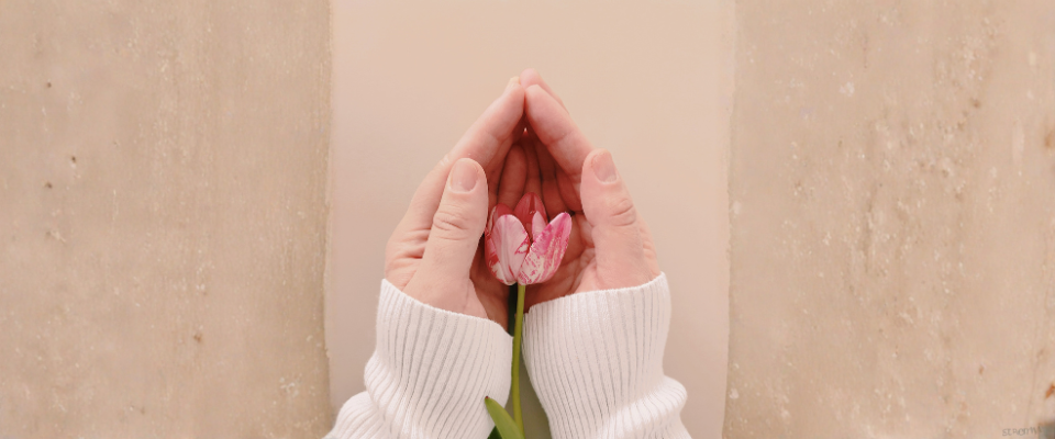 Protection famille fleur dans mains assurance vie héritage succession